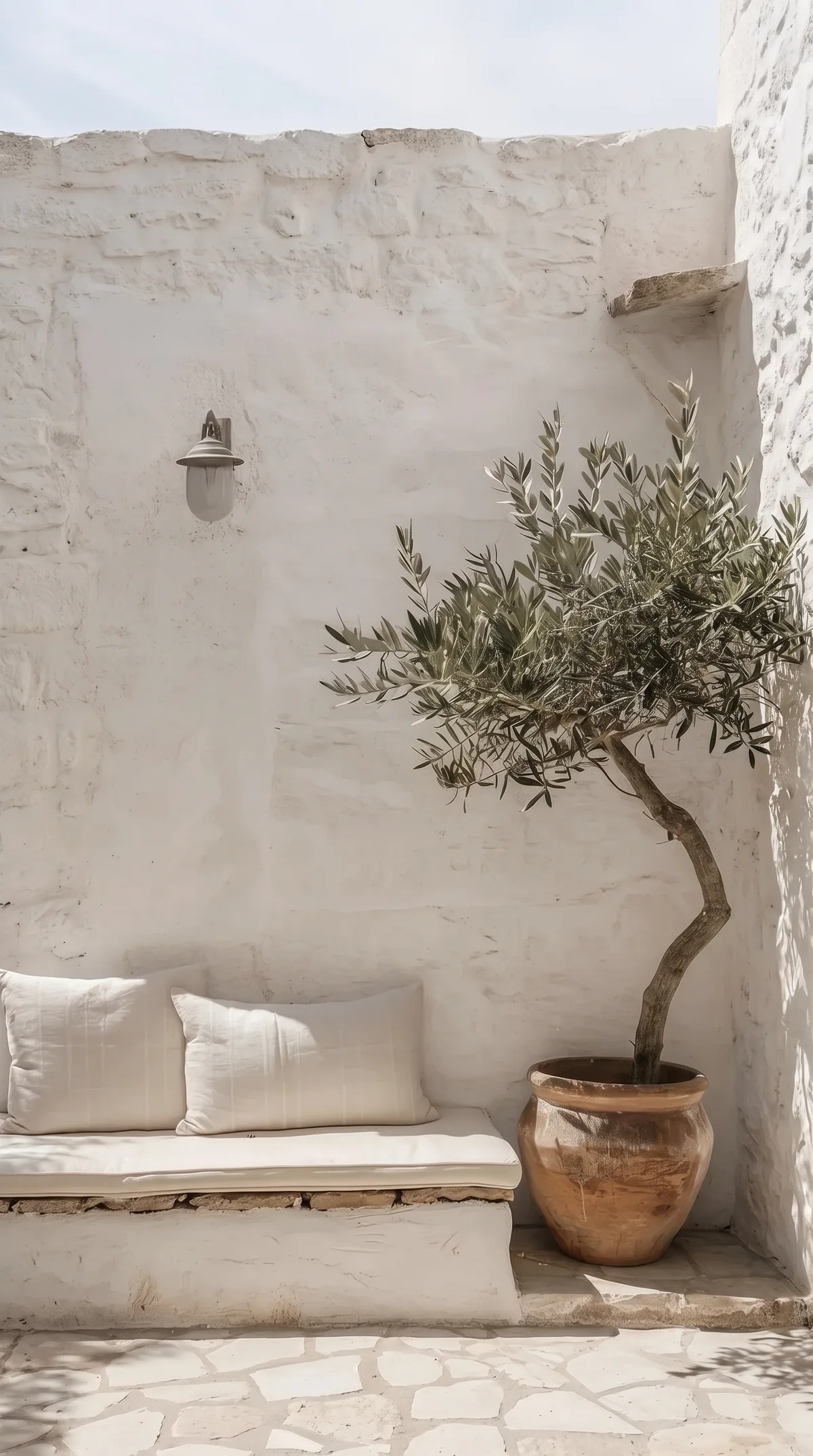 An olive tree by a whitewashed bench